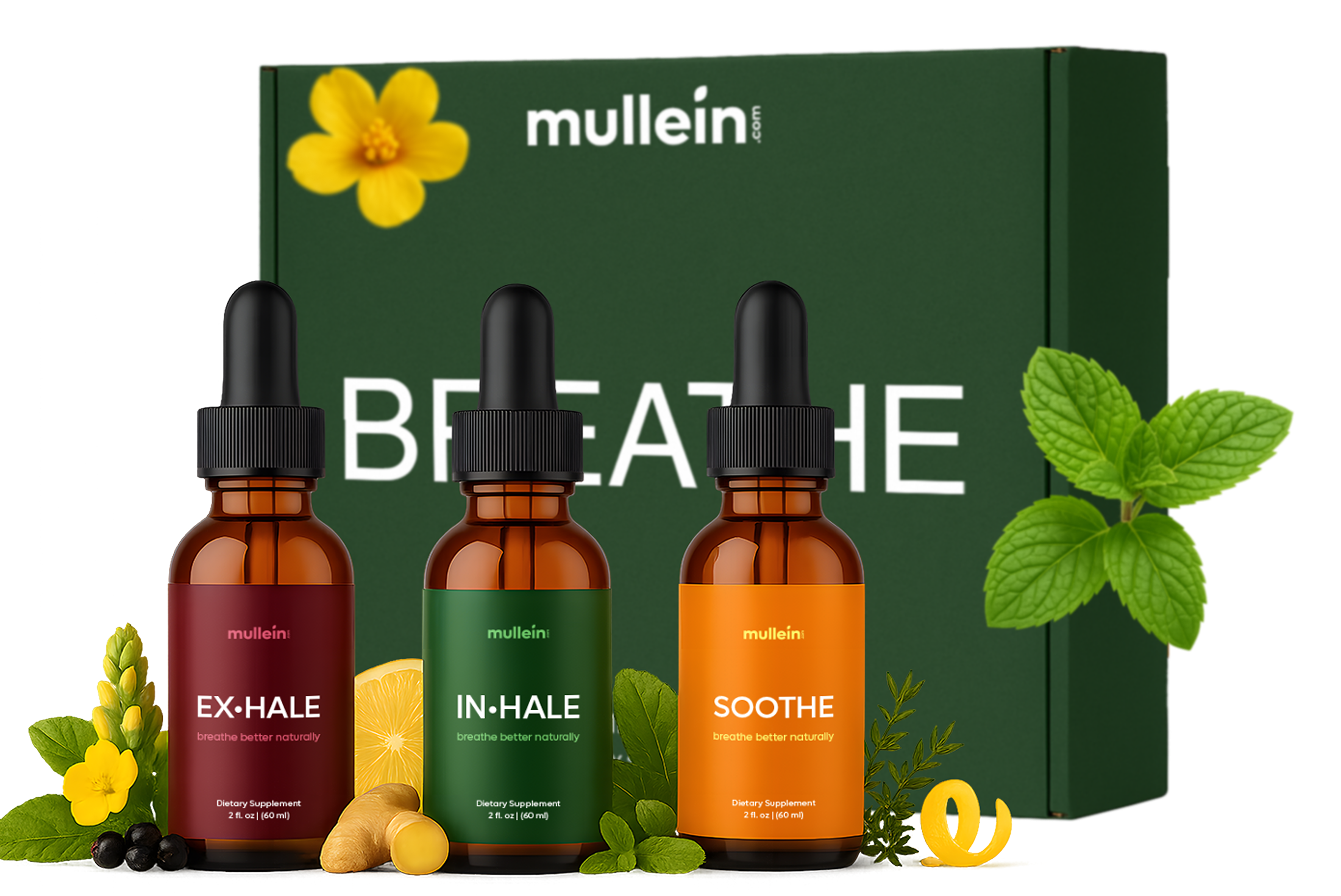 Mullein subscription bundle with three tinctures and free tea