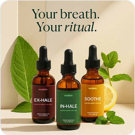 Mullein lifestyle image