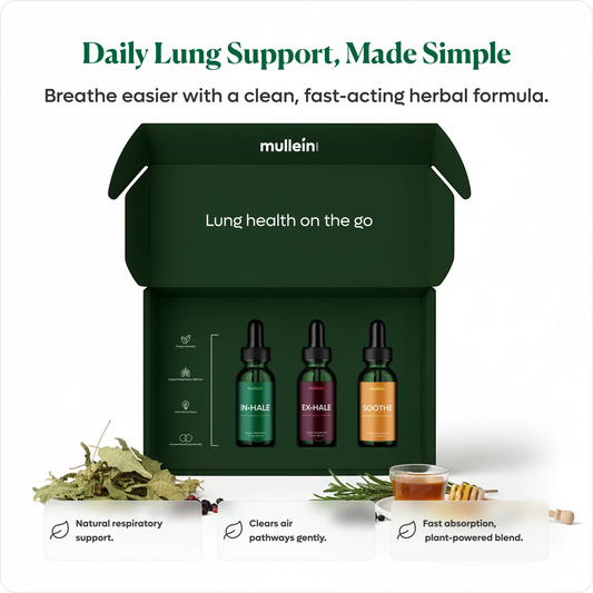 Breathe Box